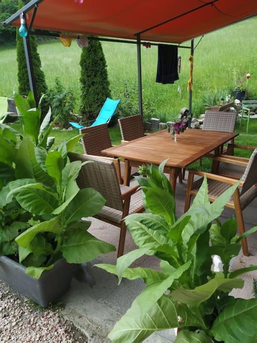 Upcycling Appartement Fischl - Nachhaltig Und Kreativ Wohnen Fuer Gross Und Klein Енбах Экстерьер фото